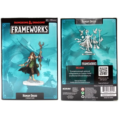 d&d-frameworks---human-druid-female