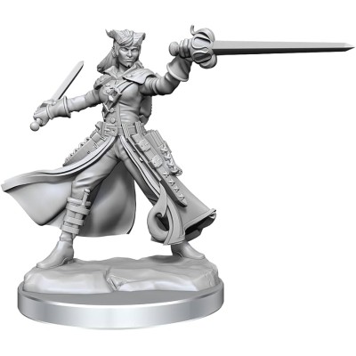 d&d-frameworks---tiefling-rogue-female