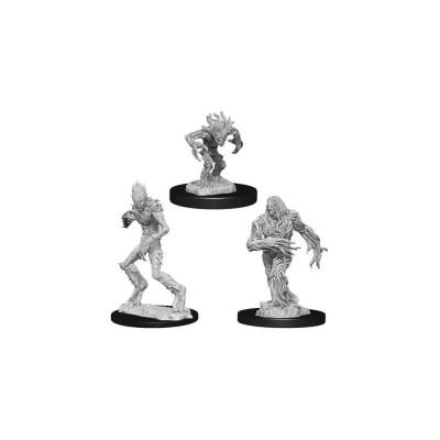 d&d-nolzur-s-marvelous-miniatures---blights