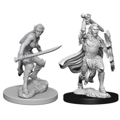 d&d-nolzur-s-marvelous-miniatures---female-elf-fighter