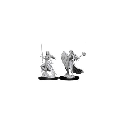 d&d-nolzur-s-marvelous-miniatures---female-elf-paladin