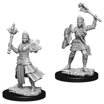 d&d-nolzur-s-marvelous-miniatures---female-human-cleric
