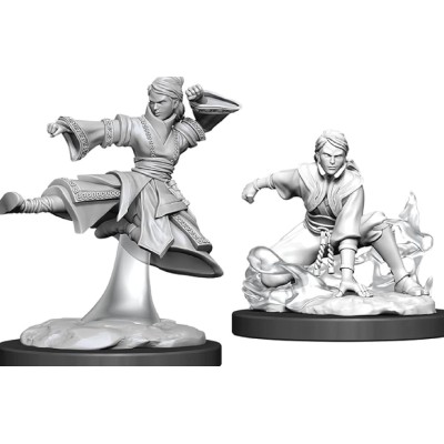 d&d-nolzur-s-marvelous-miniatures---female-human-monk