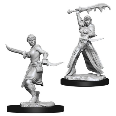 d&d-nolzur-s-marvelous-miniatures---female-human-rogue