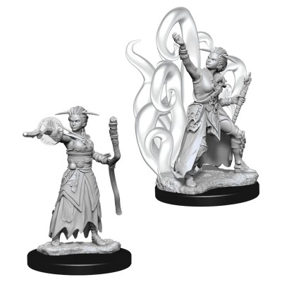 d&d-nolzur-s-marvelous-miniatures---female-human-warlock
