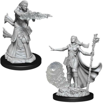 d&d-nolzur-s-marvelous-miniatures---female-human-wizard