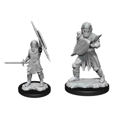 d&d-nolzur-s-marvelous-miniatures---human-fighter-male