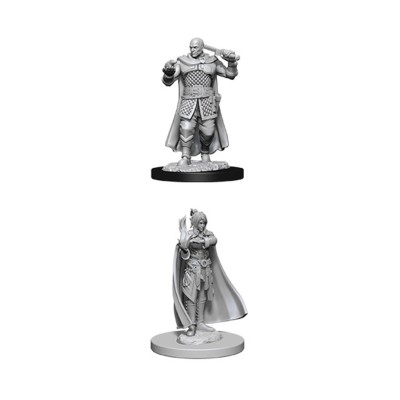 d&d-nolzur-s-marvelous-miniatures---human-ranger-&-moon-elf-sorcerer