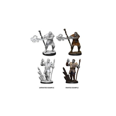 d&d-nolzur-s-marvelous-miniatures---male-firbolg-druid