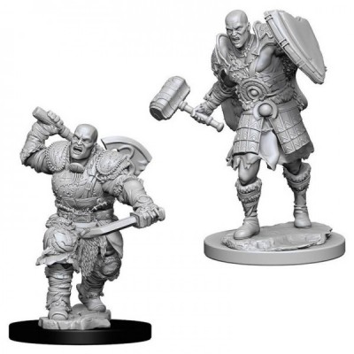 d&d-nolzur-s-marvelous-miniatures---male-goliath-fighter