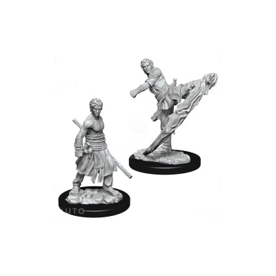 d&d-nolzur-s-marvelous-miniatures---male-half-elf-monk