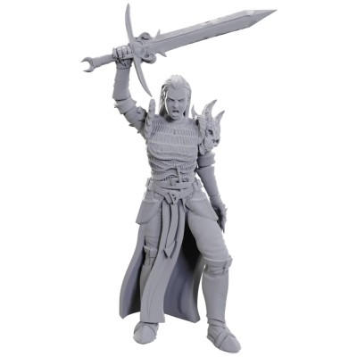 d&d-nolzur's-marvelous-miniatures:-blackguard