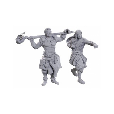 d&d-nolzurs-marvelous-miniatures---archdruid-&-martial-arts-adept