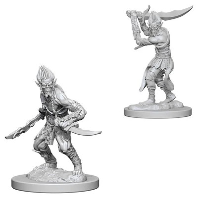 d&d-nolzurs-marvelous-miniatures---githyanki---en