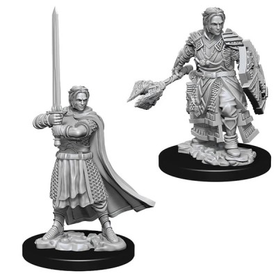 d&d-nolzurs-marvelous-miniatures---male-human-cleric