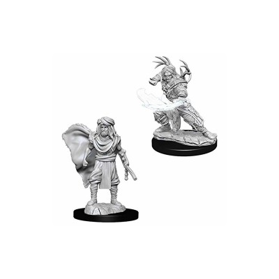 d&d-nolzurs-marvelous-miniatures---male-human-druid