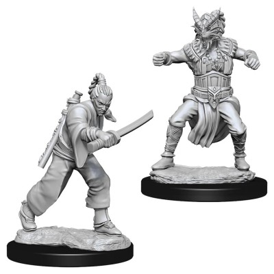 d&d-nolzurs-marvelous-miniatures---male-human-monk