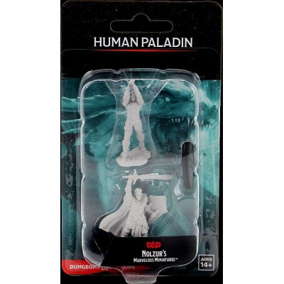 d&d-nolzurs-marvelous-miniatures---male-human-paladin