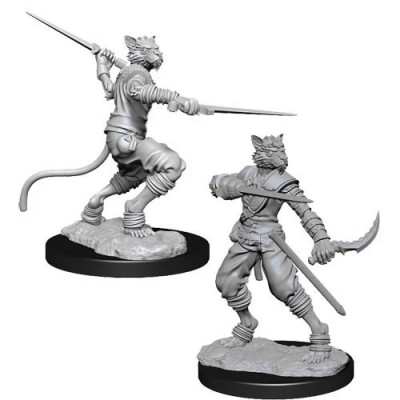 d&d-nolzurs-marvelous-miniatures---male-tabaxi-rogue