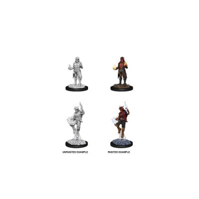 d&d-nolzurs-marvelous-miniatures---male-tiefling-sorcerer