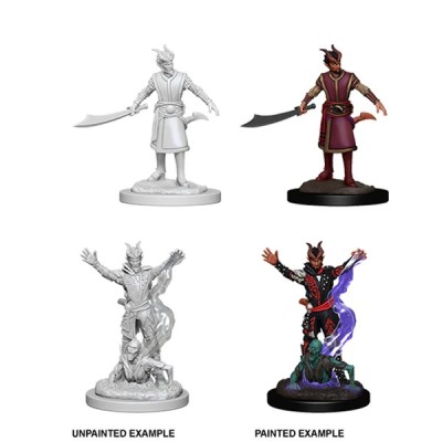 d&d-nolzurs-marvelous-miniatures---male-tiefling-warlock