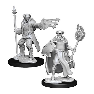 d&d-nolzurs-marvelous-miniatures---multiclass-cleric-+-wizard-male