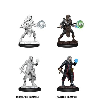 d&d-nolzurs-marvelous-miniatures---multiclass-fighter-+-wizard-male