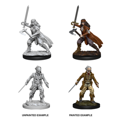 d&d-nolzurs-marvelous-miniatures---vampire-hunters