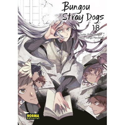 bungou-stray-dogs-18