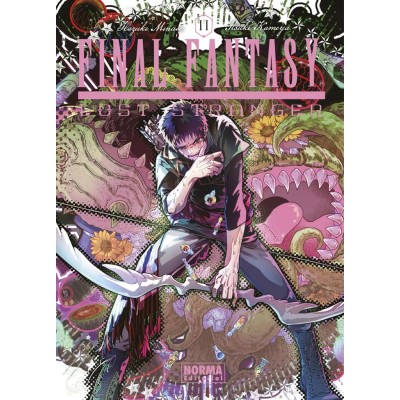 final-fantasy-lost-stranger-11