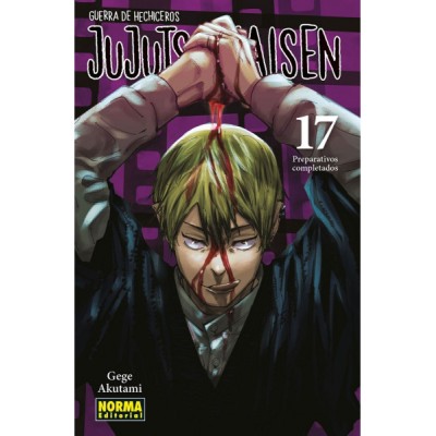 jujutsu-kaisen-17