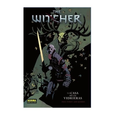 the-witcher-01