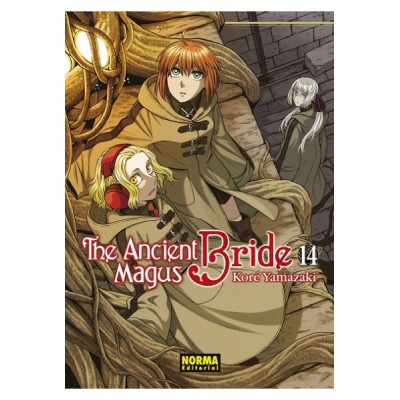 the-ancient-magus-bride-14