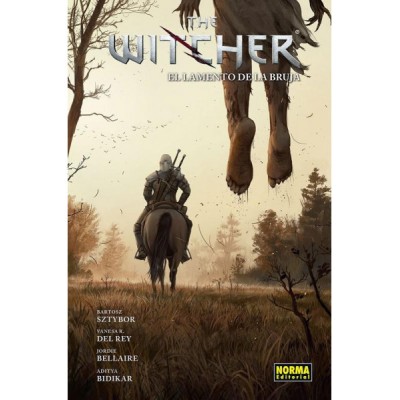 the-witcher-06