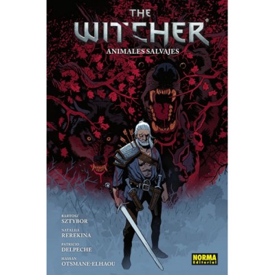 the-witcher-08
