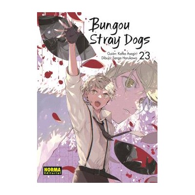 bungou-stray-dogs-23