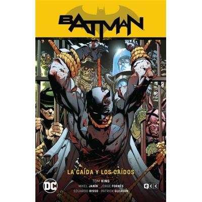 batman-vol.-15:-la-caida-y-los-caidos